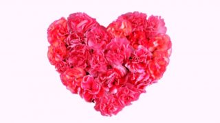 花で作ったハート